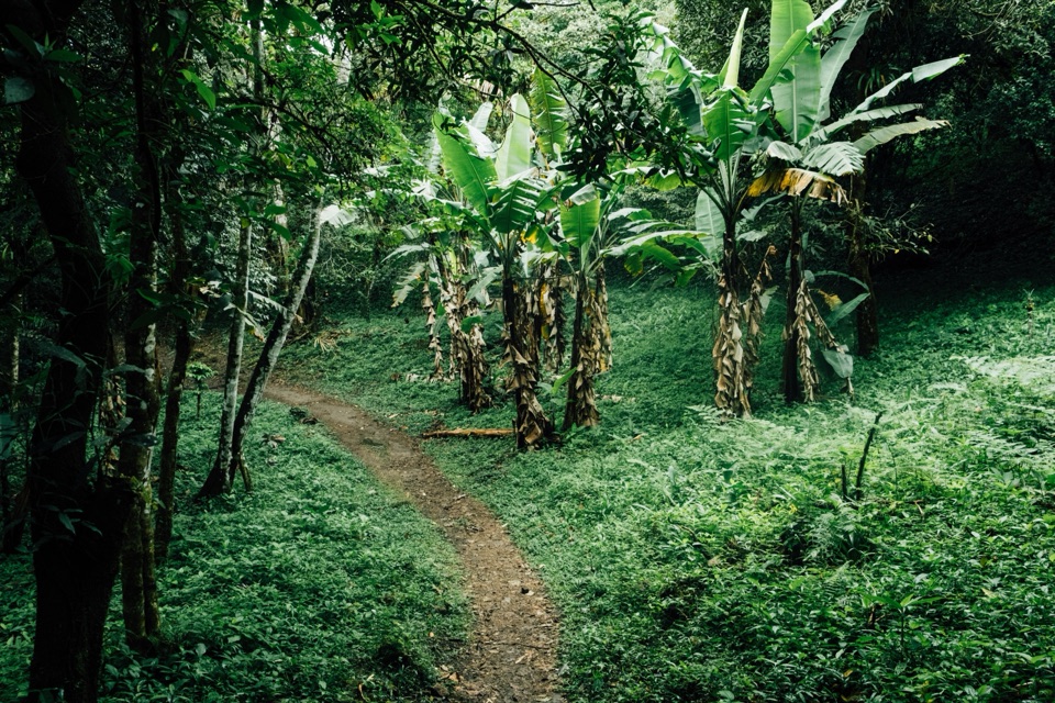 Panama