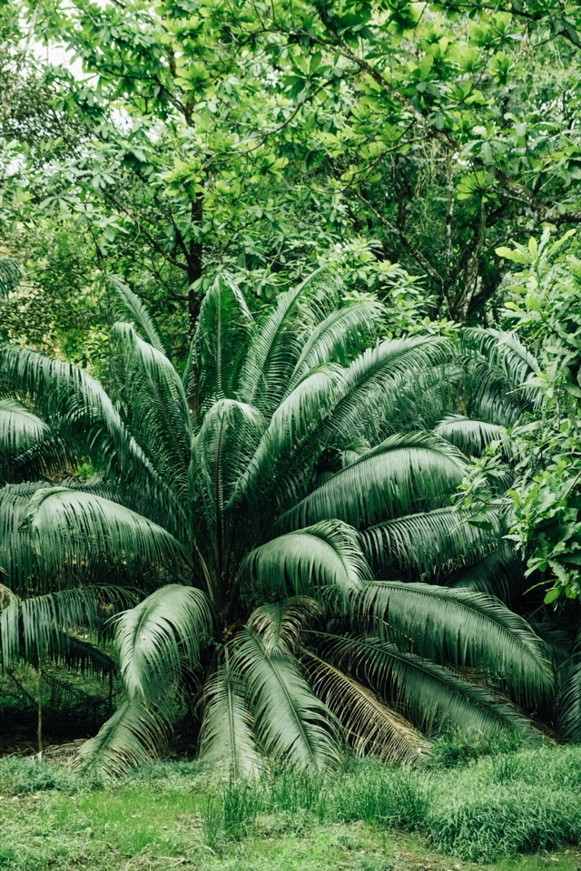 Panama