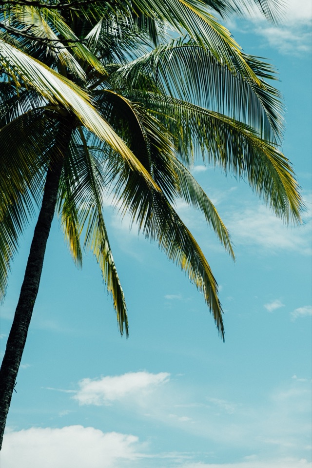 Panama