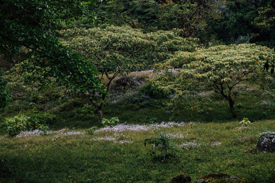 Panama
